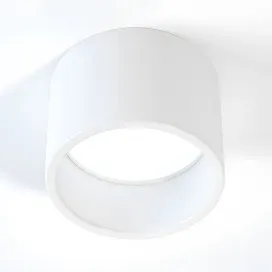 Roof deltalight